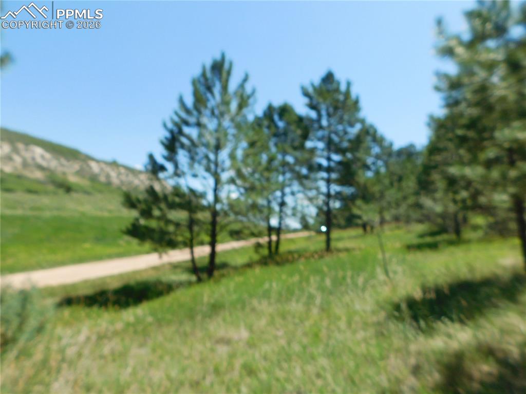 4668 Comanche Drive Larkspur CO 80118