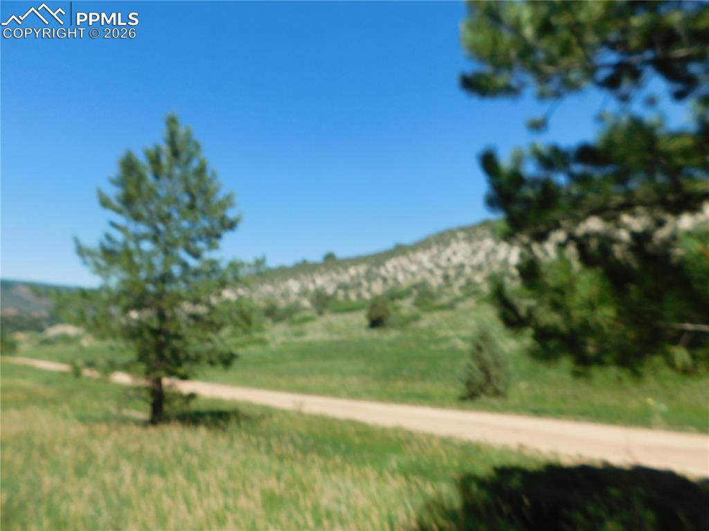4668 Comanche Drive Larkspur CO 80118
