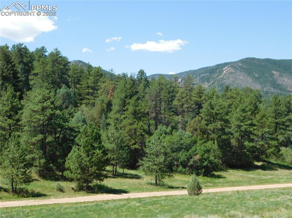 4668 Comanche Drive Larkspur CO 80118