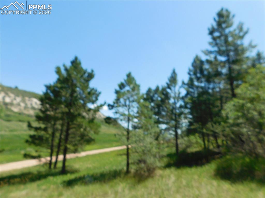 4668 Comanche Drive Larkspur CO 80118