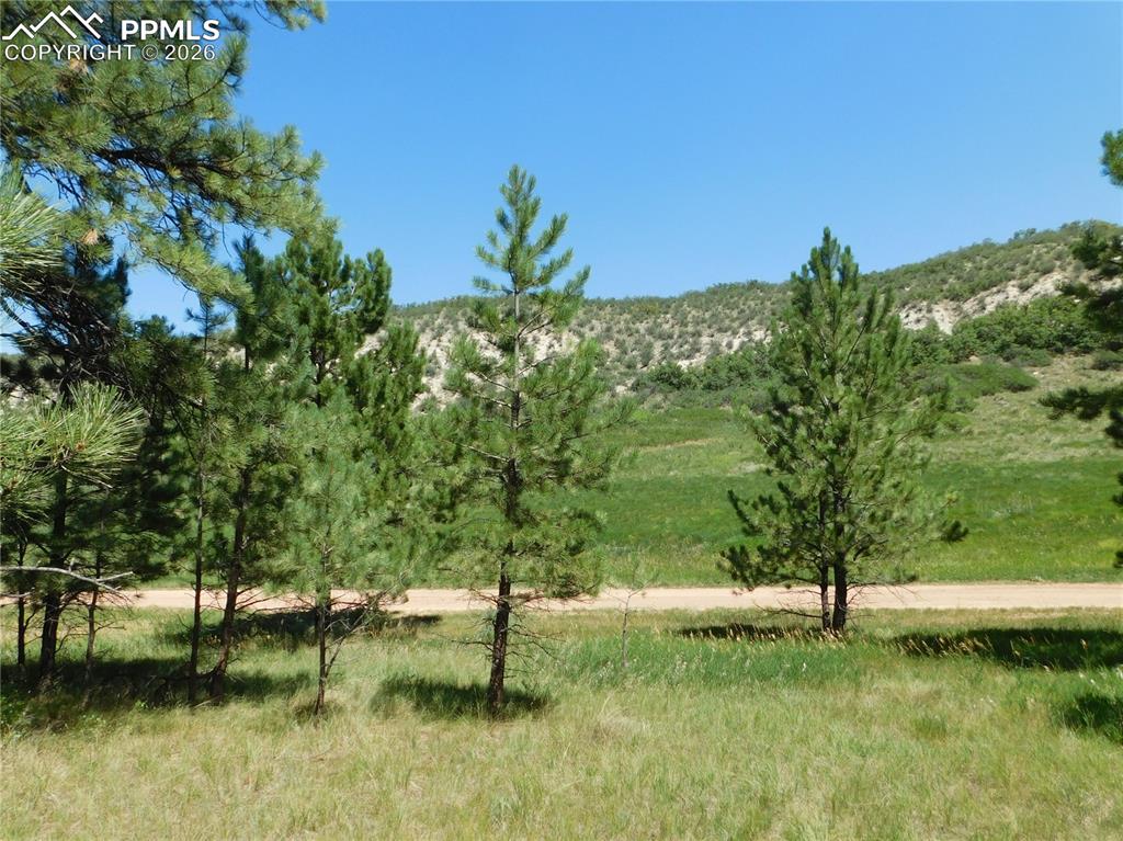 4668 Comanche Drive Larkspur CO 80118