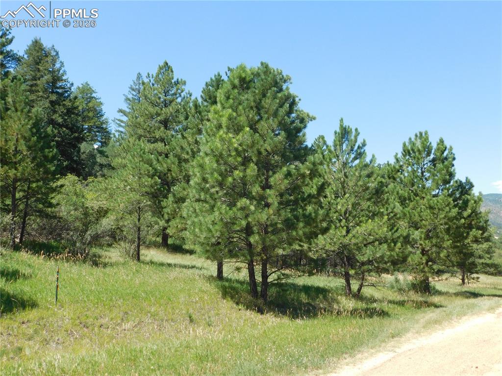 4668 Comanche Drive Larkspur CO 80118