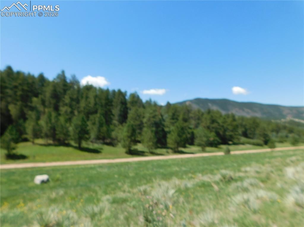 4668 Comanche Drive Larkspur CO 80118