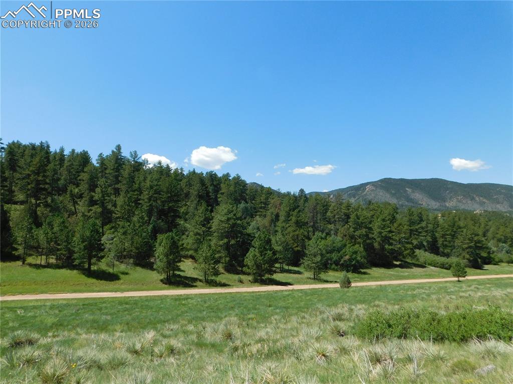 4668 Comanche Drive Larkspur CO 80118