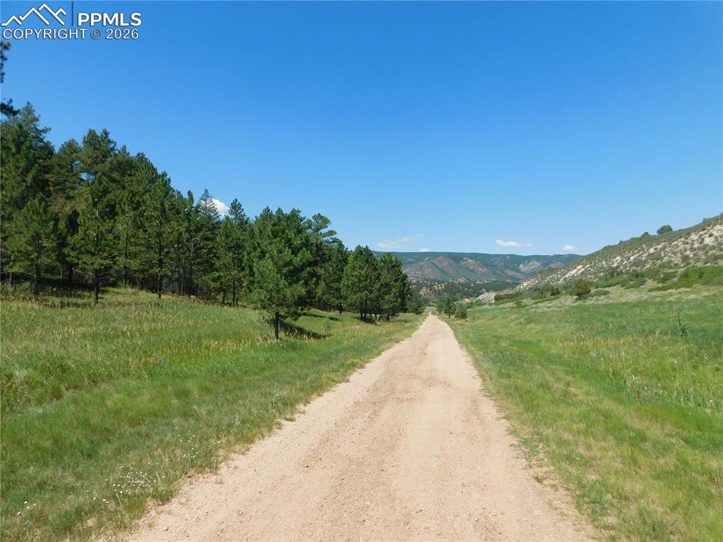 4668 Comanche Drive Larkspur CO 80118
