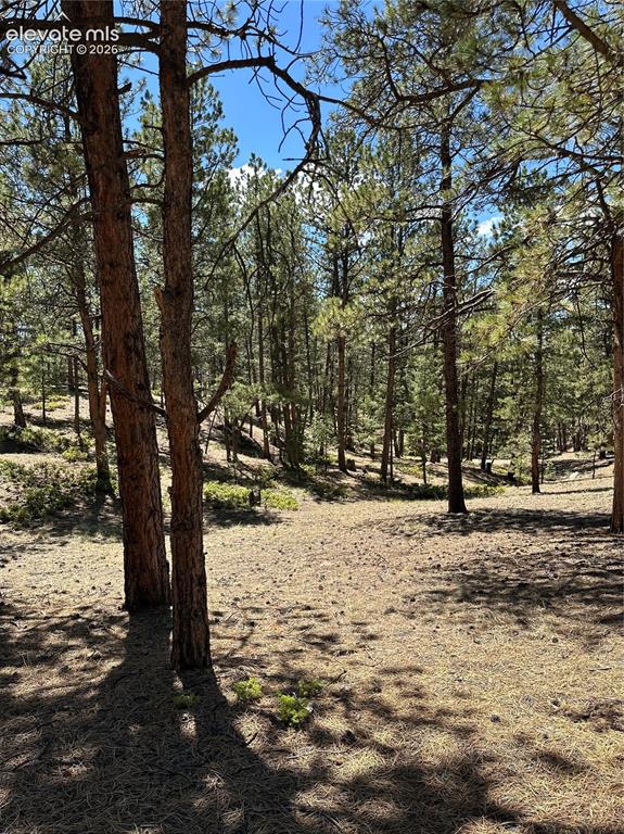 305 & 281 Midnight Lane Florissant CO 80816