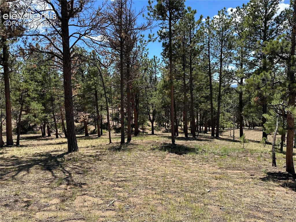 305 & 281 Midnight Lane Florissant CO 80816