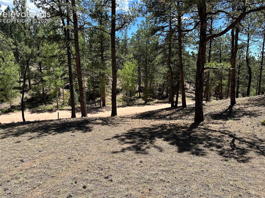 305 & 281 Midnight Lane Florissant CO 80816