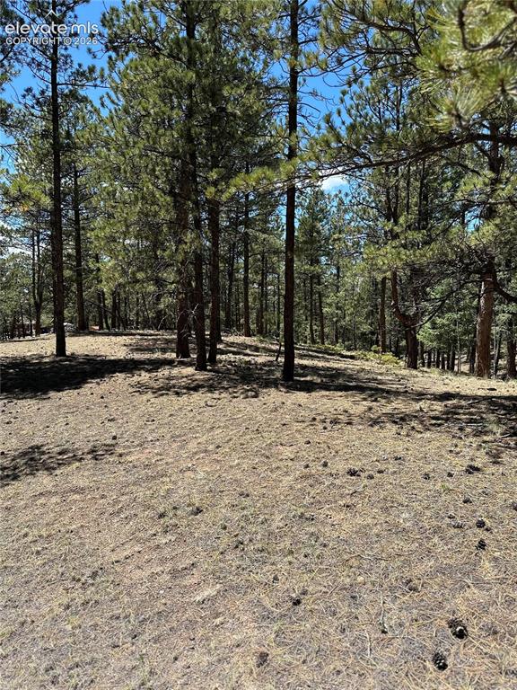 305 & 281 Midnight Lane Florissant CO 80816