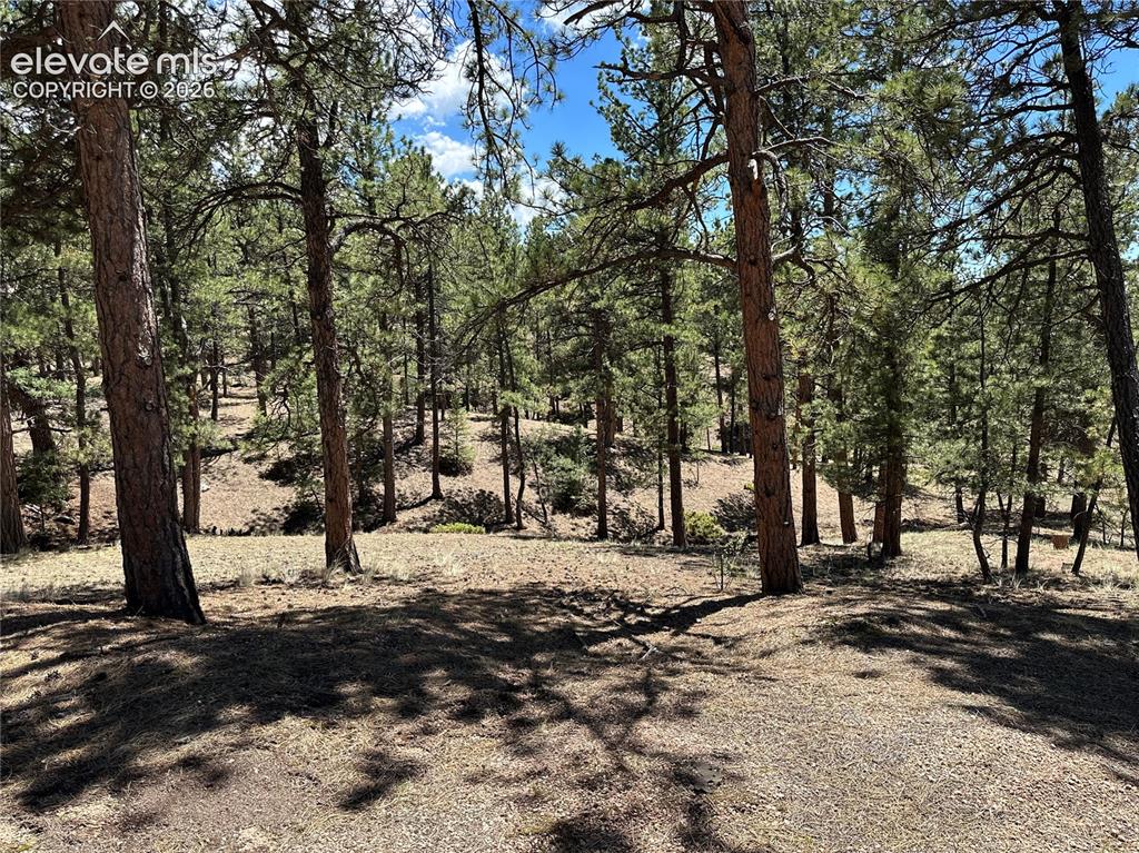 305 & 281 Midnight Lane Florissant CO 80816