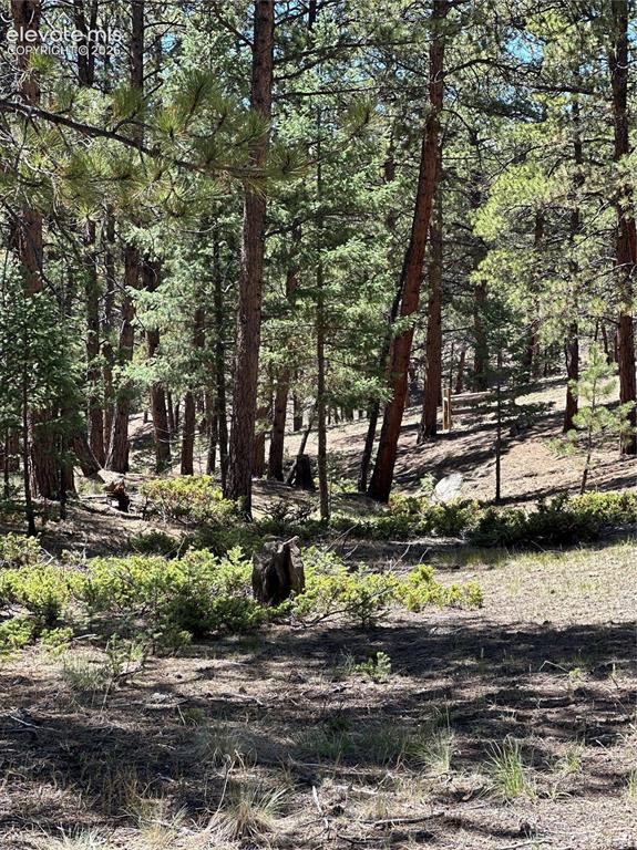 305 & 281 Midnight Lane Florissant CO 80816