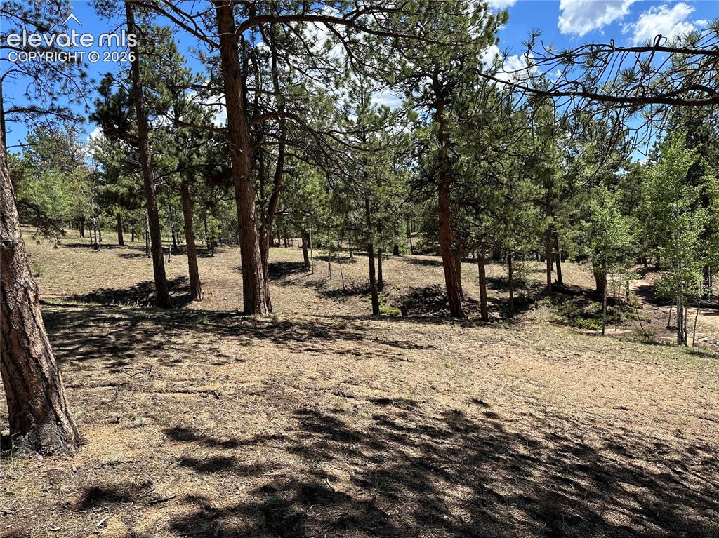 305 & 281 Midnight Lane Florissant CO 80816
