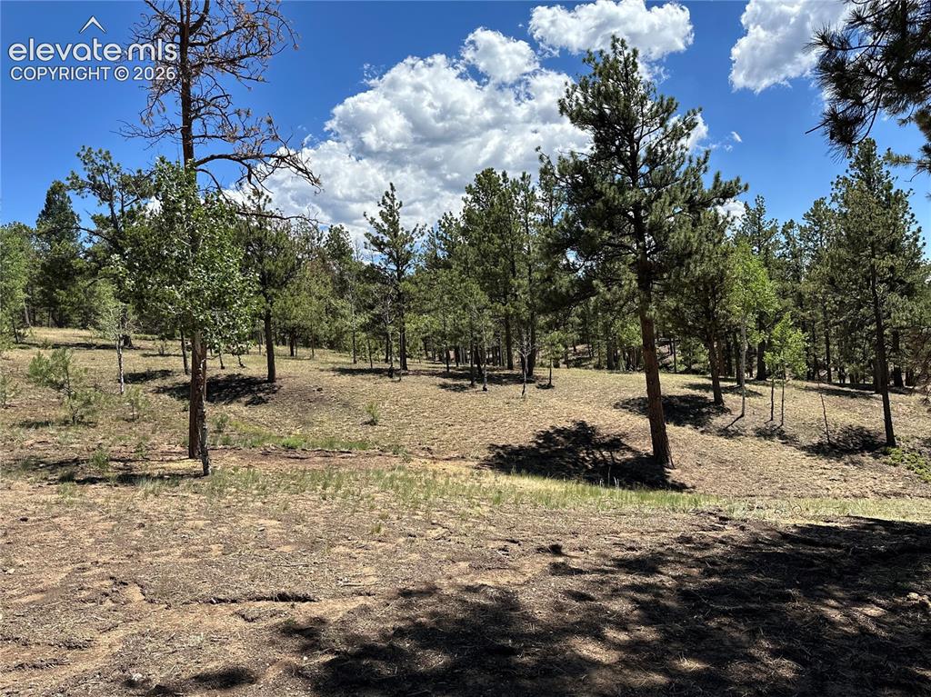 305 & 281 Midnight Lane Florissant CO 80816