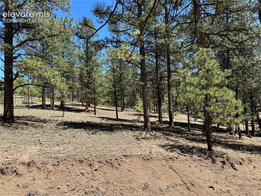 305 & 281 Midnight Lane Florissant CO 80816