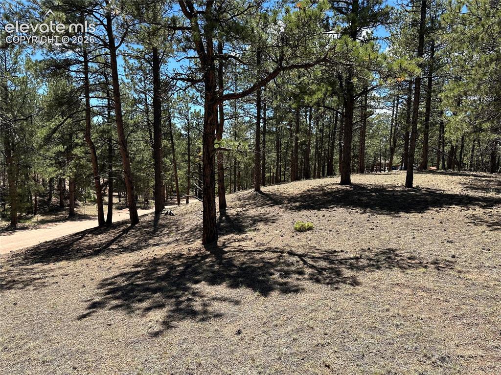 305 & 281 Midnight Lane Florissant CO 80816