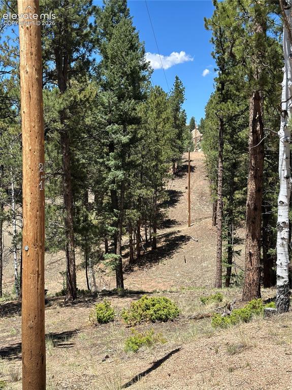 305 & 281 Midnight Lane Florissant CO 80816