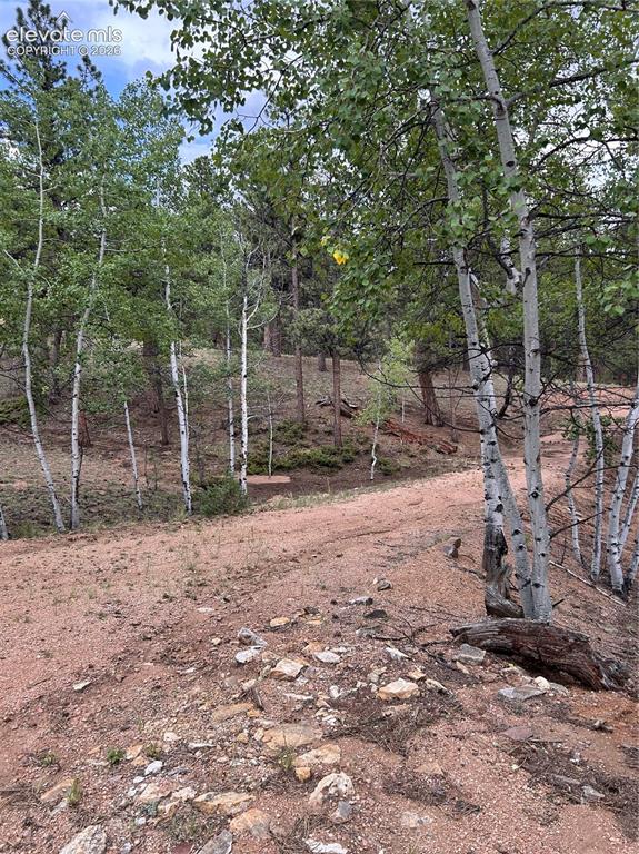 305 & 281 Midnight Lane Florissant CO 80816