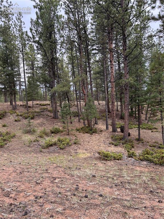 305 & 281 Midnight Lane Florissant CO 80816