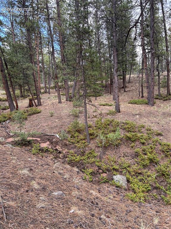 305 & 281 Midnight Lane Florissant CO 80816