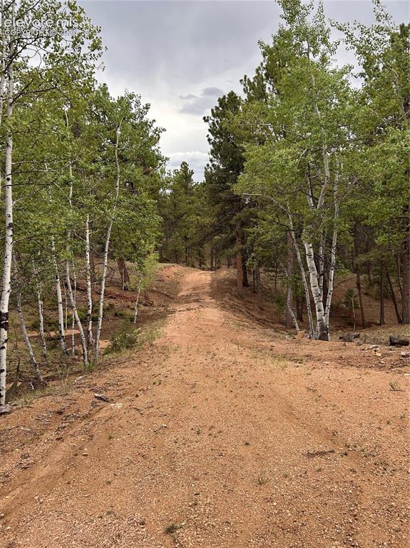 305 & 281 Midnight Lane Florissant CO 80816