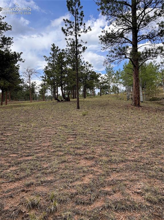 305 & 281 Midnight Lane Florissant CO 80816