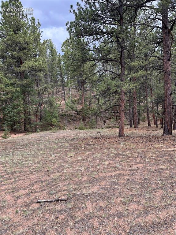 305 & 281 Midnight Lane Florissant CO 80816