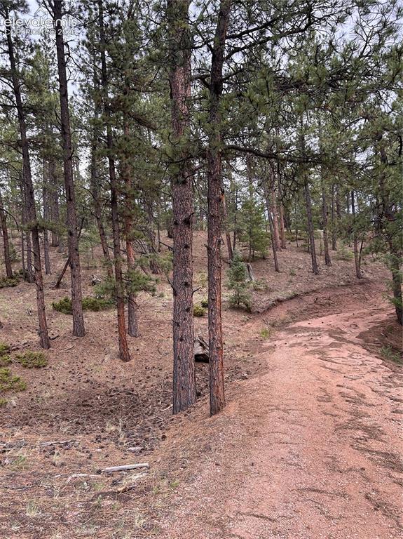 305 & 281 Midnight Lane Florissant CO 80816