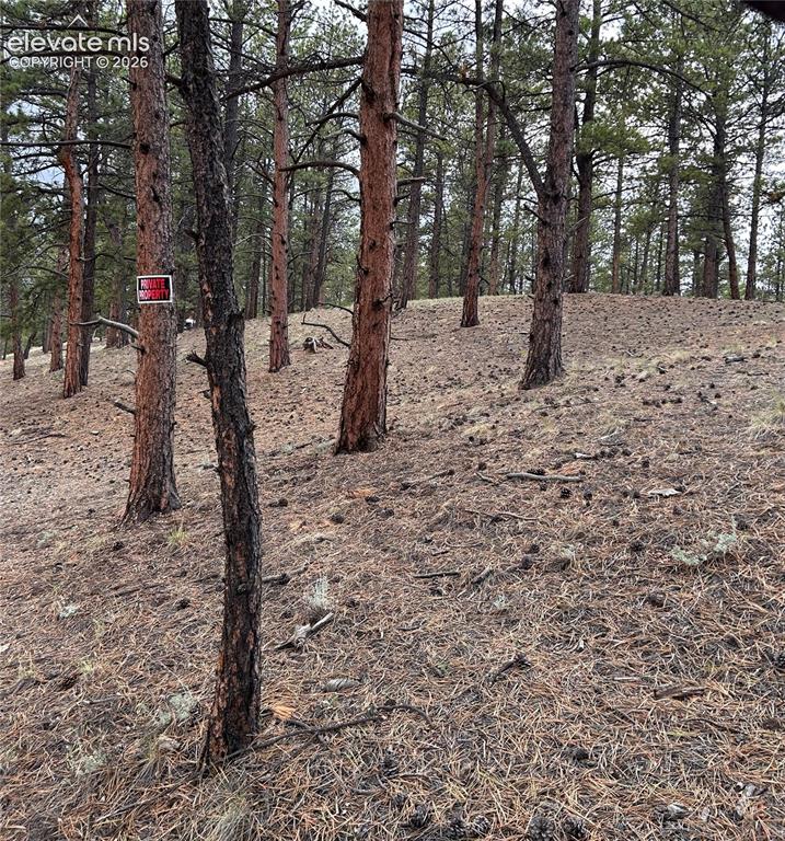 305 & 281 Midnight Lane Florissant CO 80816