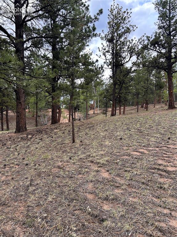 305 & 281 Midnight Lane Florissant CO 80816
