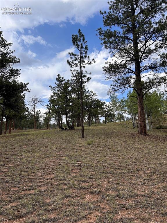 305 & 281 Midnight Lane Florissant CO 80816
