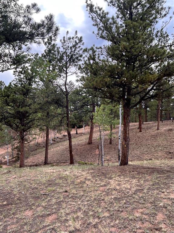 305 & 281 Midnight Lane Florissant CO 80816