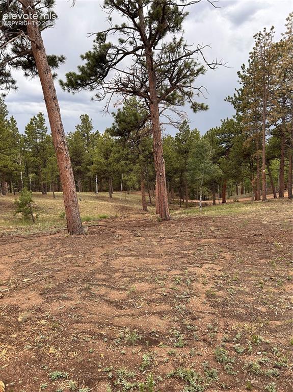 305 & 281 Midnight Lane Florissant CO 80816