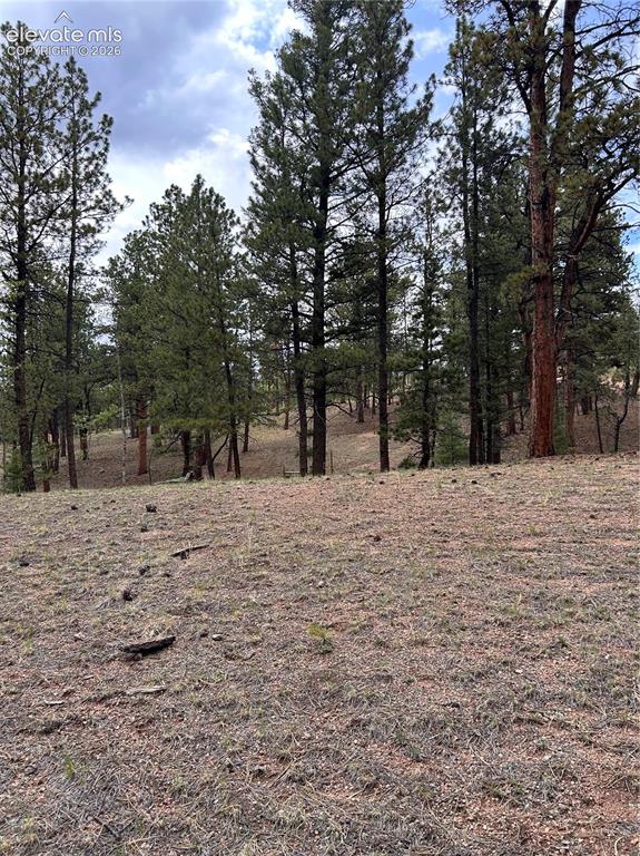 305 & 281 Midnight Lane Florissant CO 80816