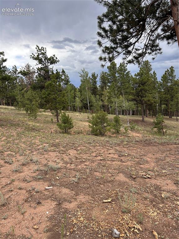 305 & 281 Midnight Lane Florissant CO 80816