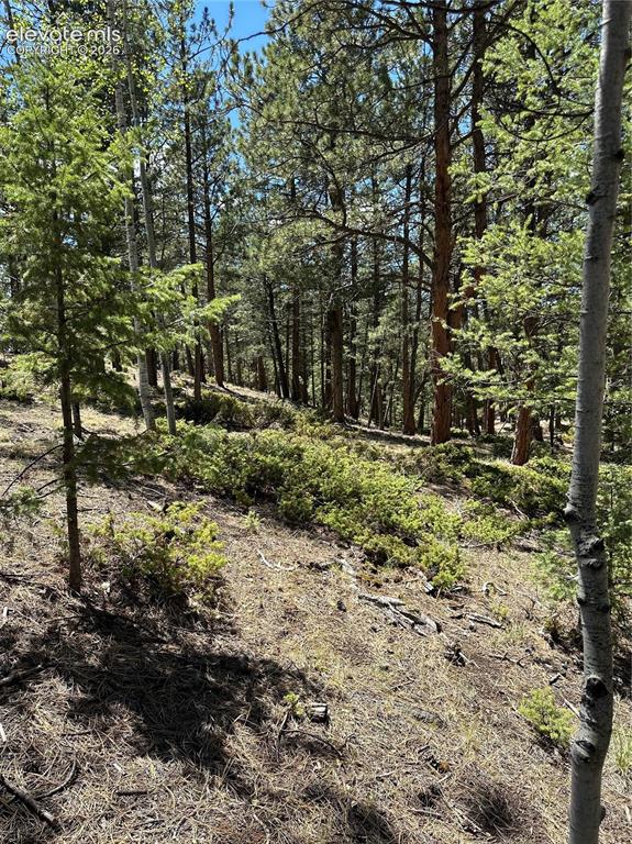 305 & 281 Midnight Lane Florissant CO 80816