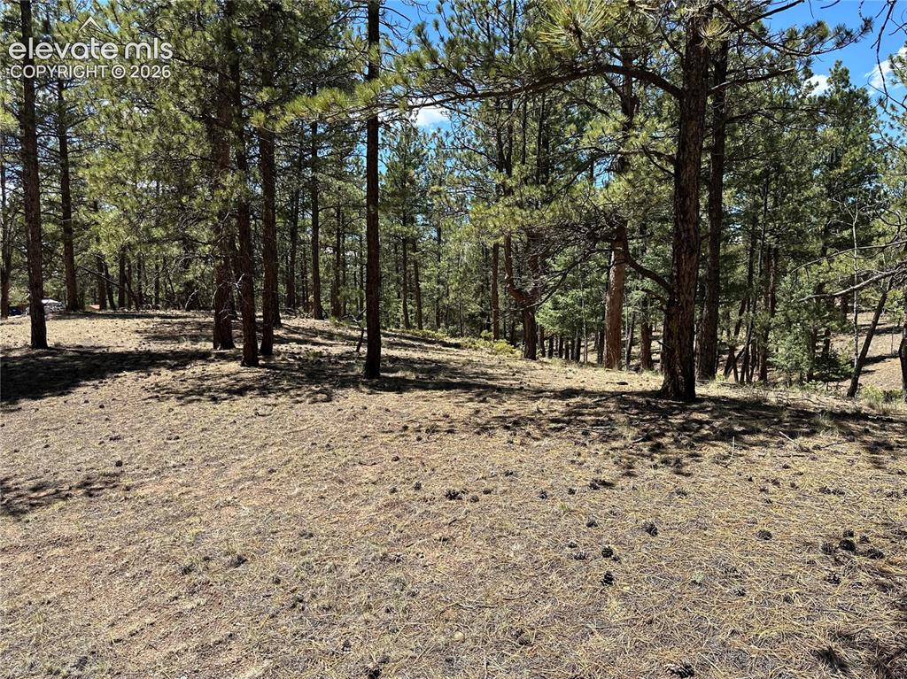 305 & 281 Midnight Lane Florissant CO 80816