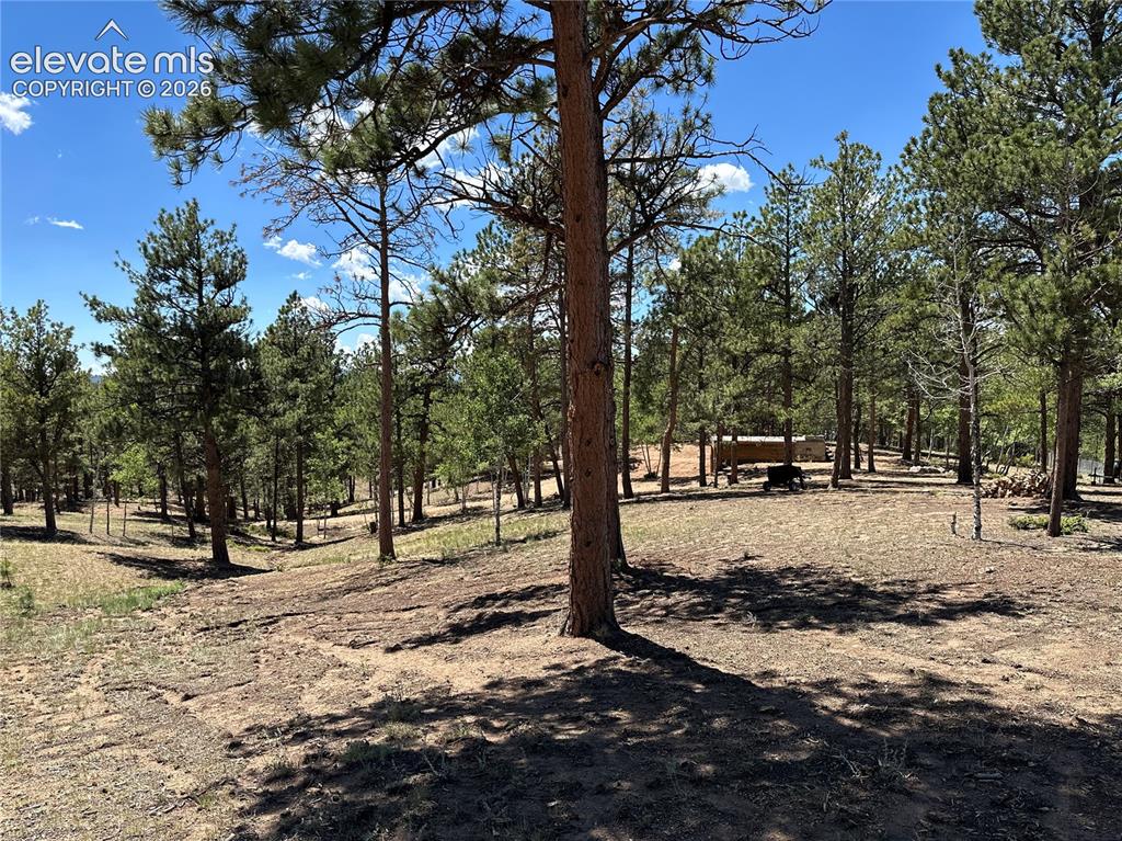 305 & 281 Midnight Lane Florissant CO 80816