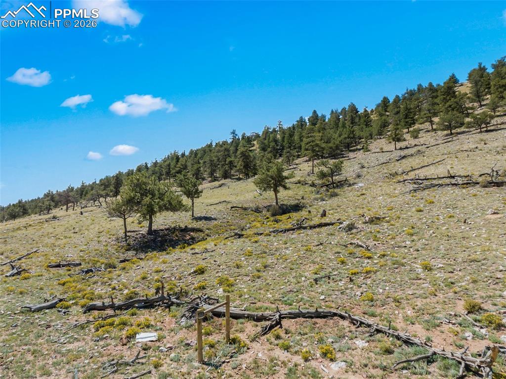 835 Sulphur Mountain Road Lake George CO 80827