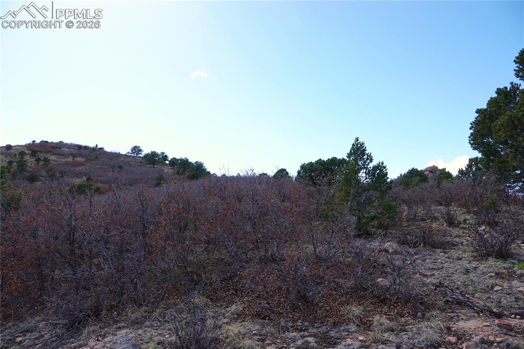 Lot 1 County Road 5 Canon City CO 81212