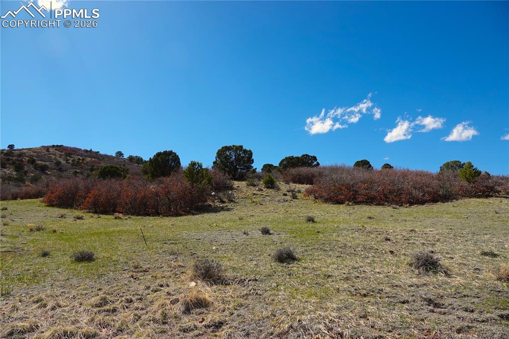 Lot 1 County Road 5 Canon City CO 81212