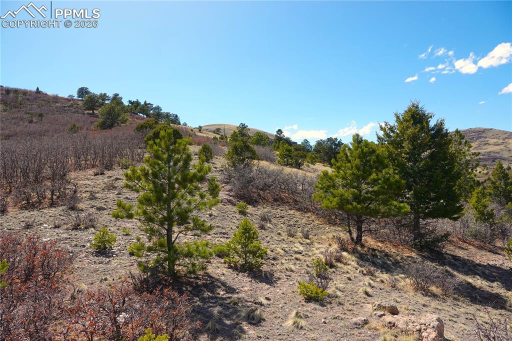 Lot 1 County Road 5 Canon City CO 81212