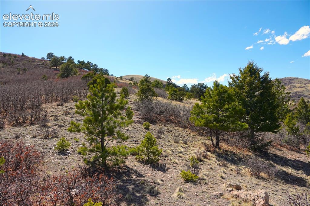 Lot 1 County Road 5 Canon City CO 81212