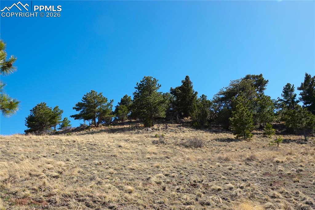 Lot 1 County Road 5 Canon City CO 81212