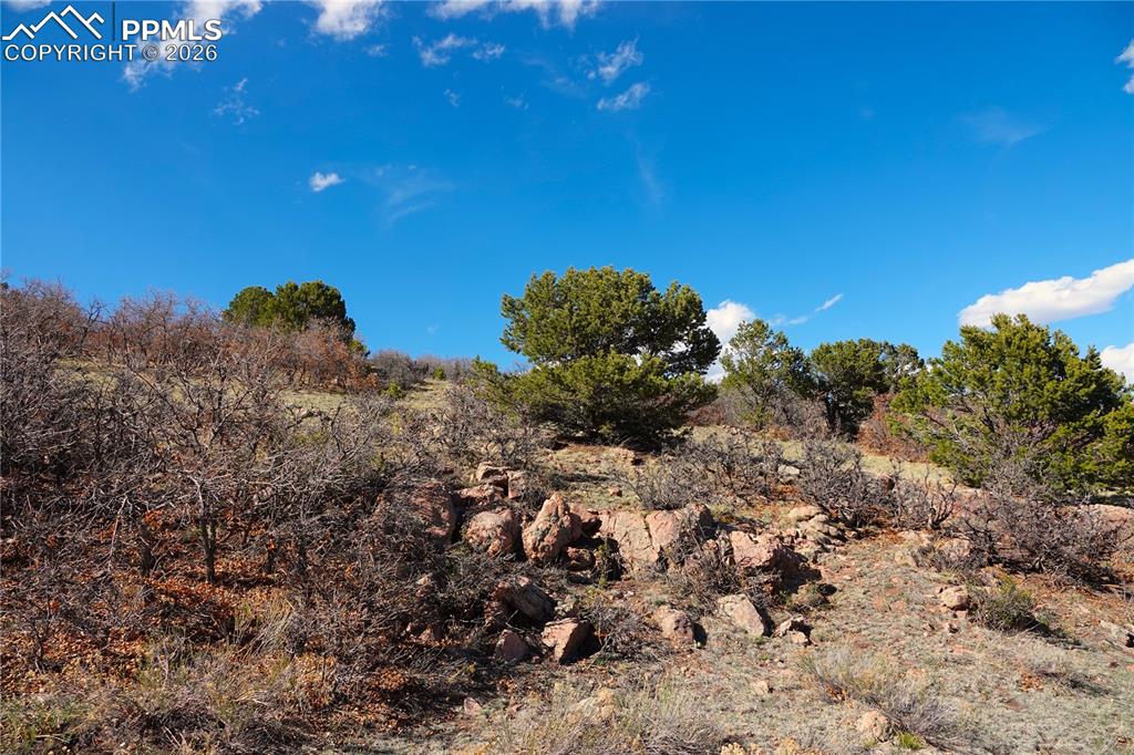 Lot 1 County Road 5 Canon City CO 81212
