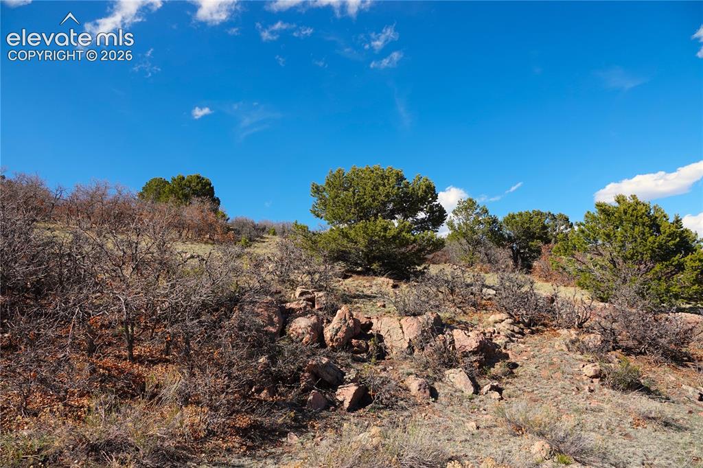 Lot 1 County Road 5 Canon City CO 81212