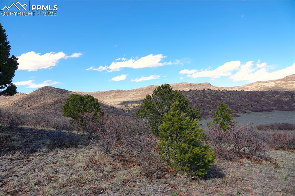 Lot 1 County Road 5 Canon City CO 81212