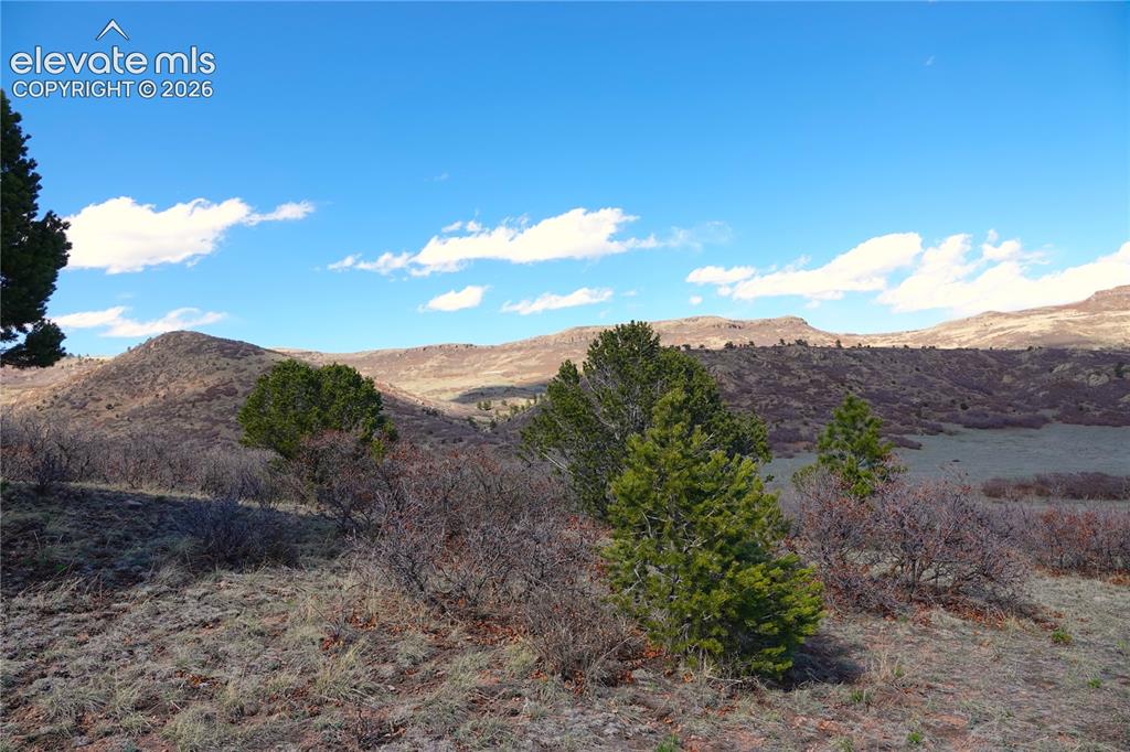 Lot 1 County Road 5 Canon City CO 81212