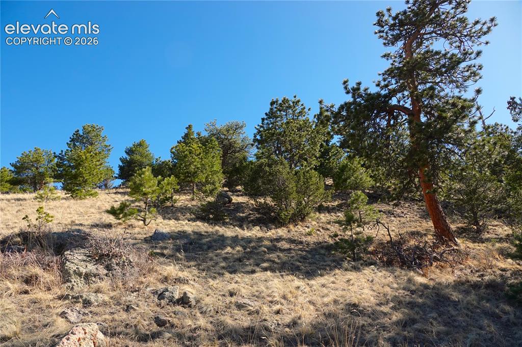 Lot 1 County Road 5 Canon City CO 81212
