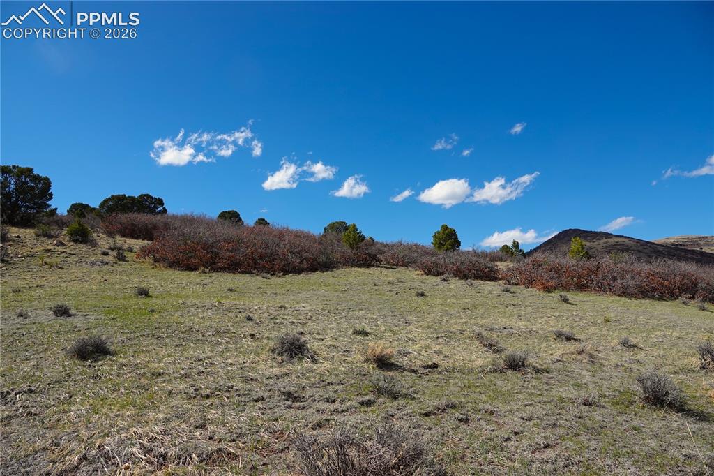 Lot 1 County Road 5 Canon City CO 81212
