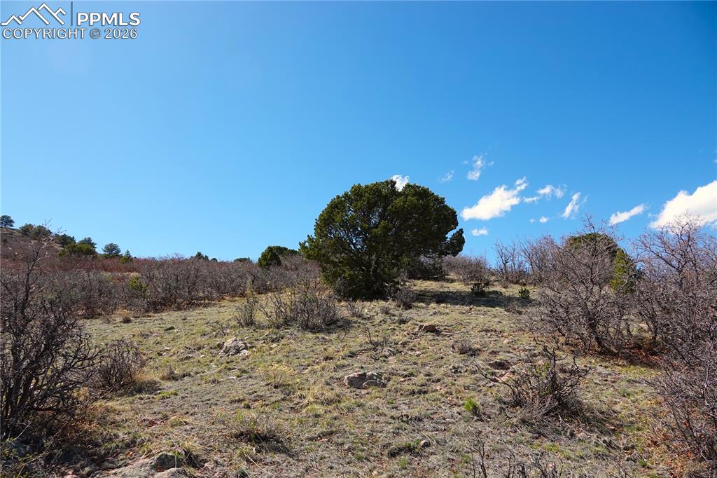 Lot 1 County Road 5 Canon City CO 81212